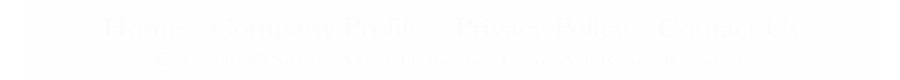 silicon-artist-footer